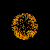 111111.gif