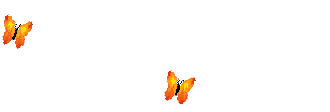 11111111111111111111.gif