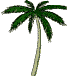 wwwwwwwwwwwwwww.gif